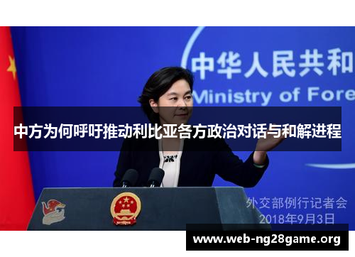 中方为何呼吁推动利比亚各方政治对话与和解进程 中方为何呼吁推动利比亚各方政治对话与和解进程