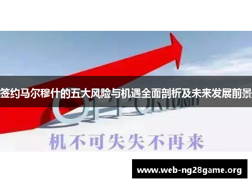 签约马尔穆什的五大风险与机遇全面剖析及未来发展前景