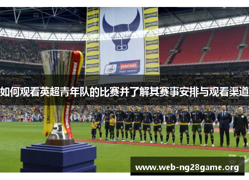 如何观看英超青年队的比赛并了解其赛事安排与观看渠道 如何观看英超青年队的比赛并了解其赛事安排与观看渠道
