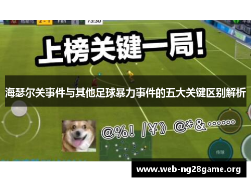 海瑟尔关事件与其他足球暴力事件的五大关键区别解析